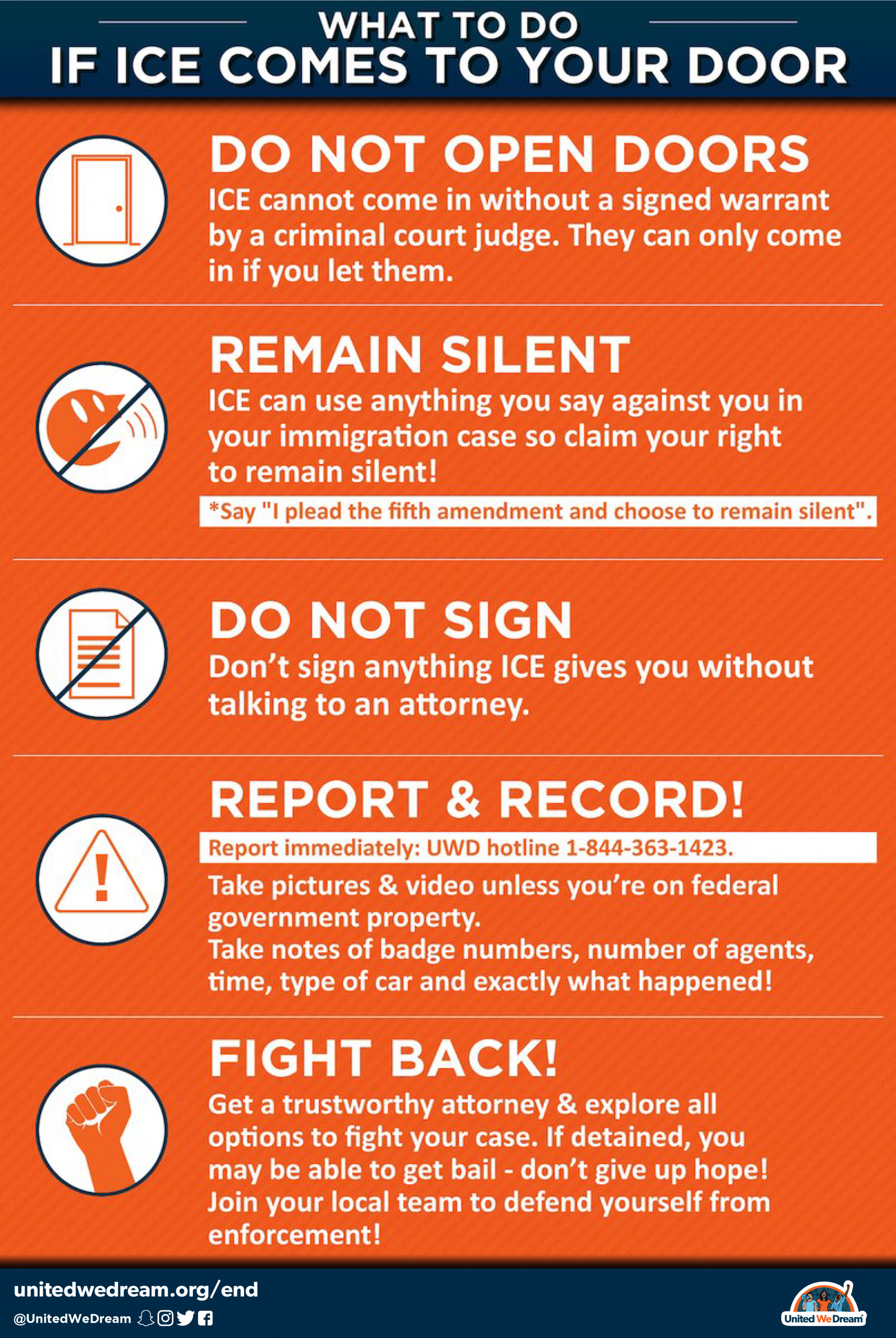 Know your Rights Poster